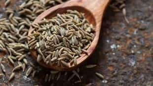 Cumin, Cumin news, Cumin price, commodities, commodities news